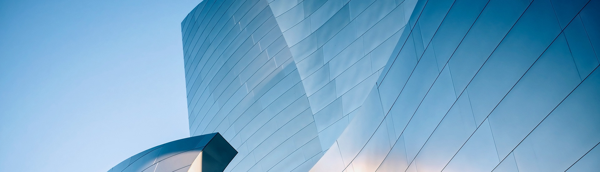 ��˾����